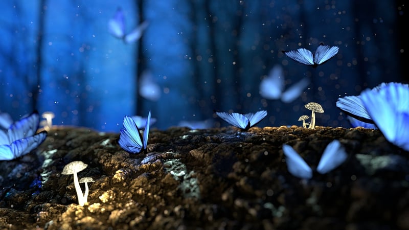 Fairytale Forest Union